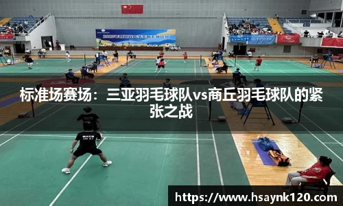 标准场赛场：三亚羽毛球队vs商丘羽毛球队的紧张之战