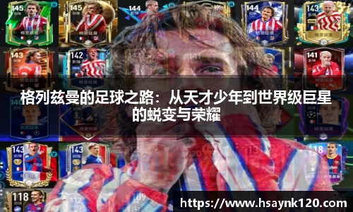 zoty中欧